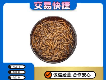 铁岭回收散虫草